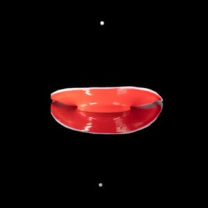 Crown1101